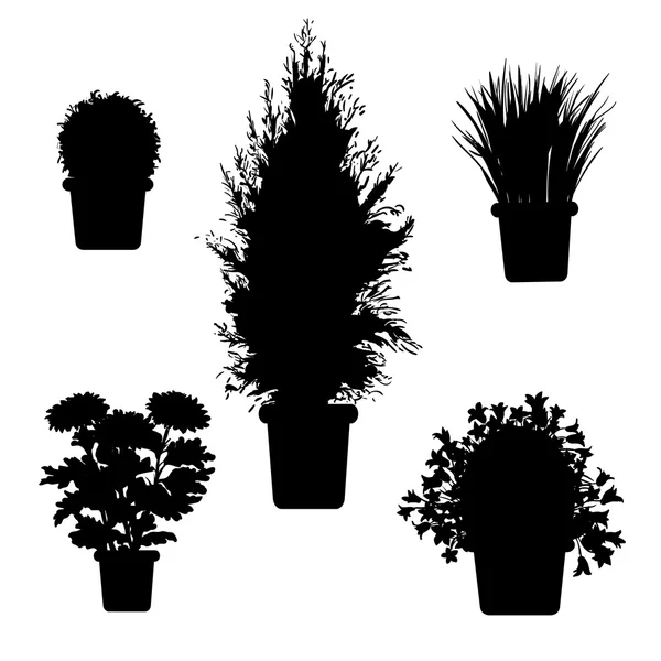 Plantes et fleurs en pot — Image vectorielle