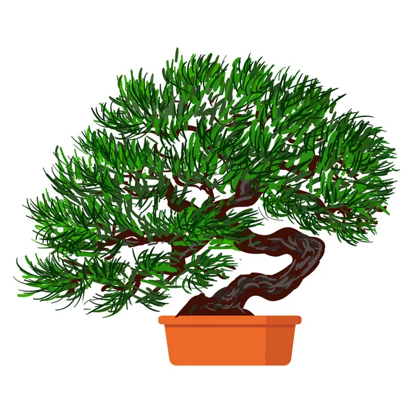 Árvore anã Bonsai . —  Vetores de Stock