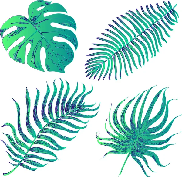 Ensemble vectoriel avec feuilles exotiques tropicales — Image vectorielle