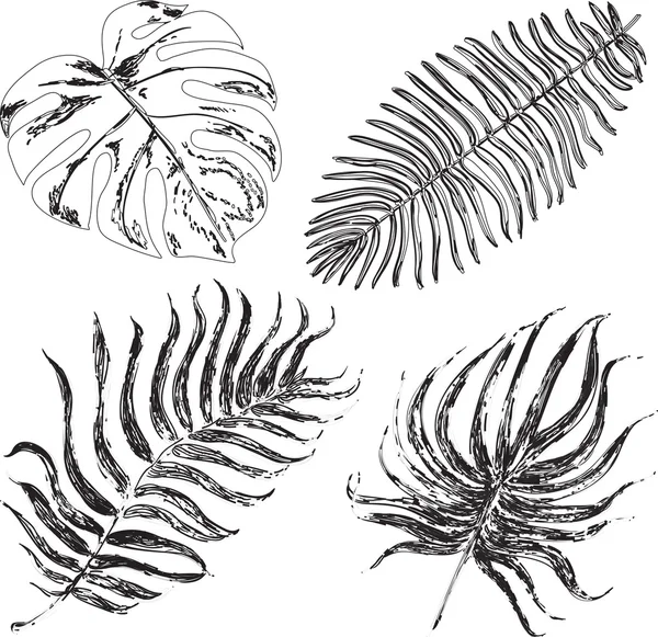 Vektor med tropiska exotiska leafes — Stock vektor