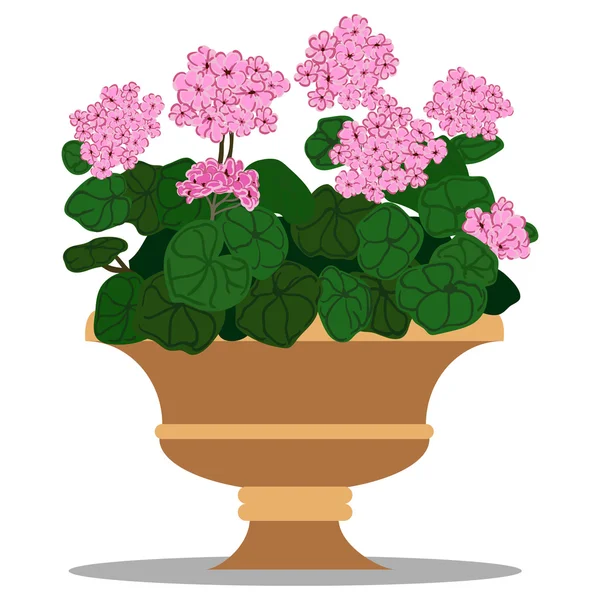 Ilustracja wektorowa kwiatów układ w puli — Wektor stockowy