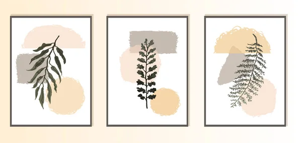 Set kollázs modern poszter absztrakt formák és illusztráció a növény — Stock Vector