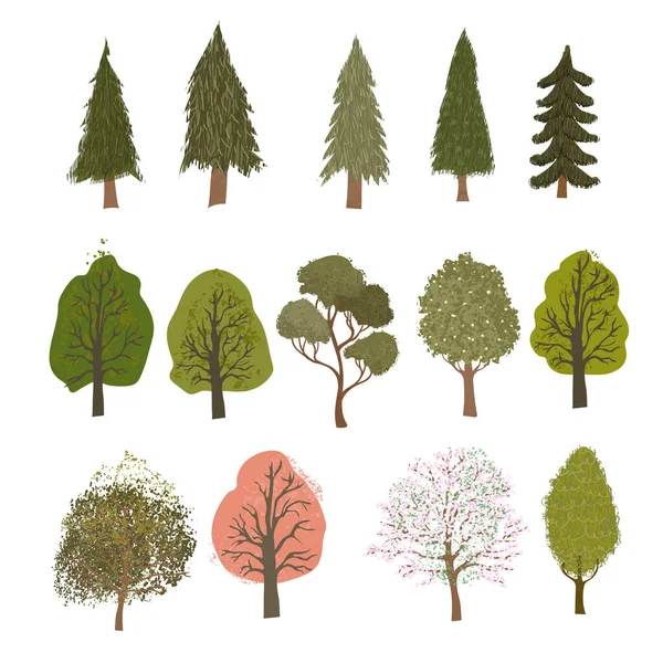Beyaz arkaplanda izole edilmiş farklı ağaçların renkli çizimleri — Stok Vektör