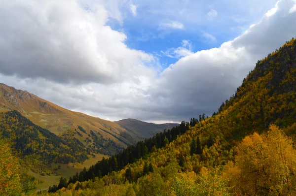 Dağlarda yağmur sonrası. sonbahar 2015, Arkhyz, Karaçay-Çerkez Cumhuriyeti, Rusya Federasyonu