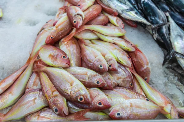 Bliski Wschód Półwysep Arabski Oman Muscat Muttrah Ryby Sprzedaż Targu — Zdjęcie stockowe