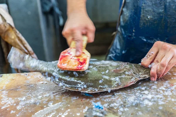 아라비아 머스캣 무라트 2019 트에서 수프를 확대하는 — 스톡 사진