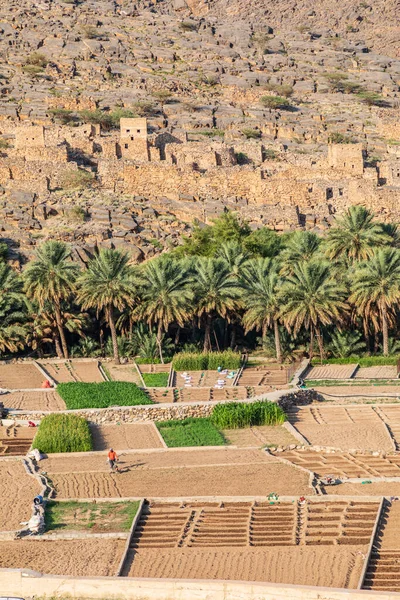 Middle East Arabian Peninsula Oman Dakhiliyah Hamra Oct 2019 Ruins — Stock Photo, Image