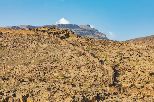 Ближний Восток Аравийский Полуостров Оман Дахилия Аль Хамра Древняя Каменная — стоковое фото