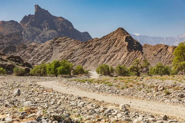 Ближний Восток Аравийский Полуостров Оман Аль Батина Рустак Вади Пустынных — стоковое фото