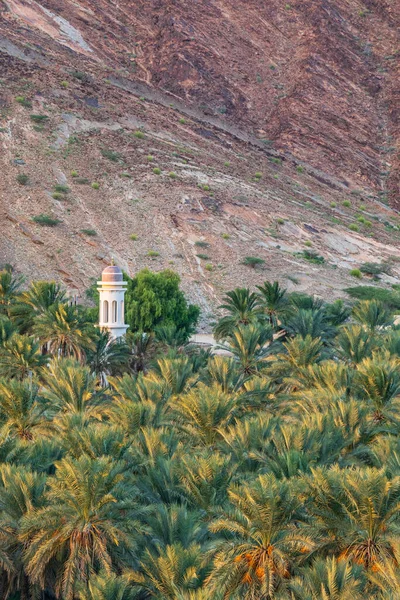 Middle East Arabian Peninsula Oman Dakhiliyah Nizwa Tower Palm Trees — Stock Photo, Image