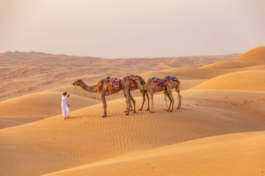Orta Doğu, Arap Yarımadası, Umman, Ash Sharqiyah North, Bidiya. 25 Ekim 2019. Çocuk Umman 'daki kum tepelerinde bir dizi deve gezdiriyor..