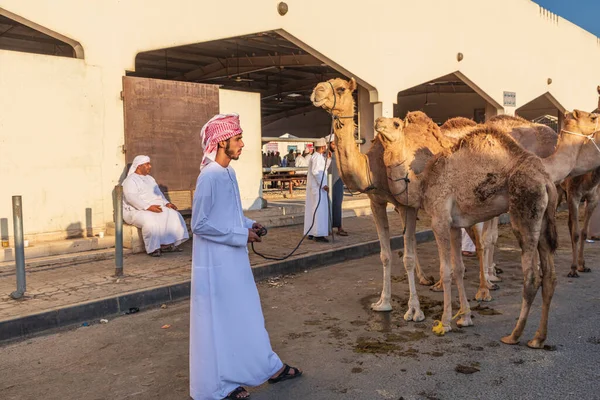 Medio Oriente Penisola Arabica Oman Batinah Sud Sinaw Ottobre 2019 — Foto Stock