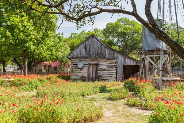 Castroville Teksas Usa Kwietnia 2021 Maki Zabytkowe Budynki Teksasie Wzgórzu — Zdjęcie stockowe