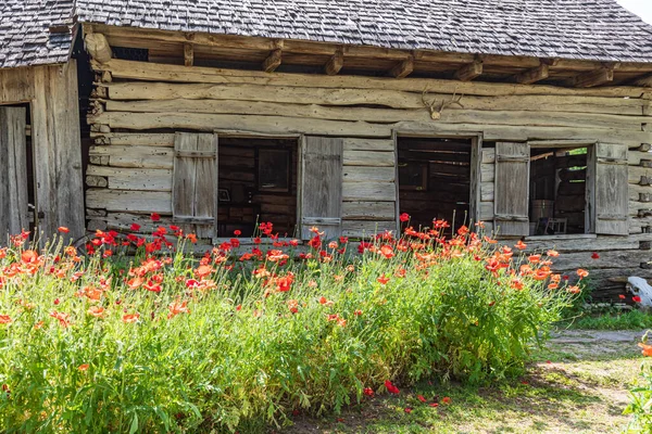 Castroville Texas Usa Dubna2021 Máky Historické Budovy Zemi Kopci Texas — Stock fotografie