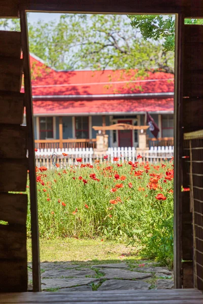 Castroville Texas Usa April 2021 Mohn Durch Die Tür Eines — Stockfoto