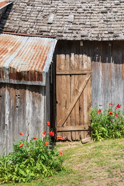 Castroville Texas Usa 2021 Április Poppik Történelmi Épületek Texasi Dombvidéken — Stock Fotó