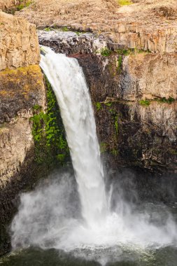 Palouse Falls Eyalet Parkı, Washington, ABD. Soluk benizli kayalıklardan aşağı düşüyor.