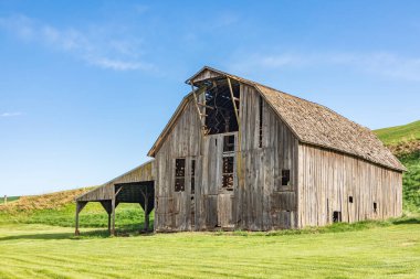 Pullman, Washington, ABD. 22 Mayıs 2021. Solgun tepelerdeki gri yıpranmış bir ahır..