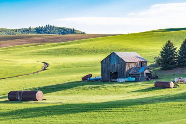 Pullman, Washington, ABD. 22 Mayıs 2021. Palouse tepelerindeki eski bir ahır..