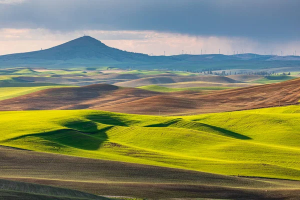 Pullman Washington Usa Steptoe Butte Över Rullande Vetefält Palouse Kullar — Stockfoto