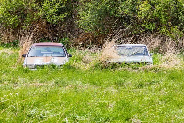 Albion Washington Usa Mai 2021 Verlassene Autos Auf Einem Feld — Stockfoto