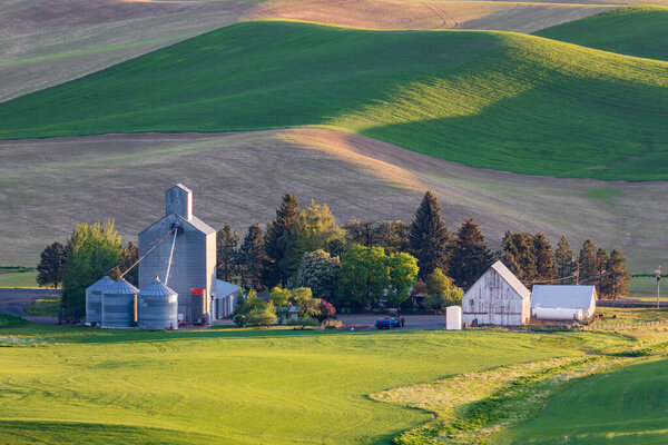 Фармингтон, Вашингтон, США. 24 мая 2021 года. Зернохранилище на пшеничной ферме в Палузских холмах.