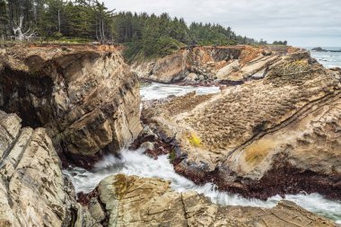 Shore Acres State Park, Oregon, ABD. Oregon sahilinde sörf ve kayalıklar.