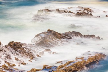Shore Acres State Park, Oregon, ABD. Yavaş çekim hızı kayaların üzerinden akan dalgaların bulanıklığı.