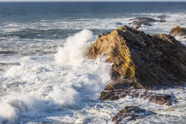Shore Acres State Park, Oregon, ABD. Oregon sahilindeki kayalıklara çarpan sörfler..