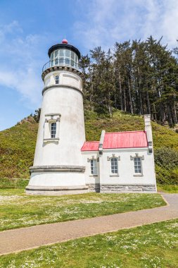 Heceta Head, Oregon, ABD. Oregon sahilindeki Heceta Head deniz feneri..