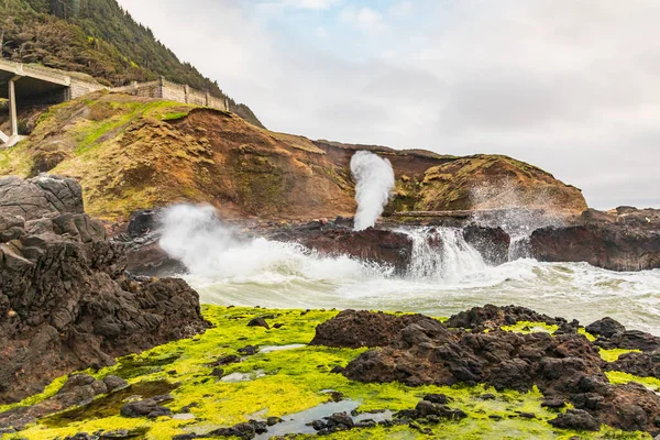 Yachats Oregon Usa Buco Del Corno Sputacchiatore Sulla Costa Dell — Foto Stock