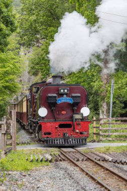 Snowdonia, Gwynedd, Galler, İngiltere. 4 Mayıs 2025. Snowdonia 'da tren çeken tarihi bir buhar makinesi..