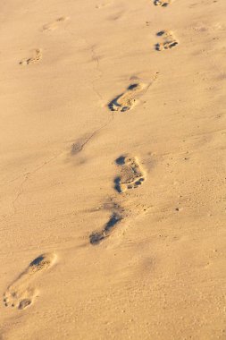 Kuzey Amerika, Meksika, Nayarit, Bahia de Banderas, Nuevo Vallarta. Bucerias. Kumsaldaki ayak izleri..