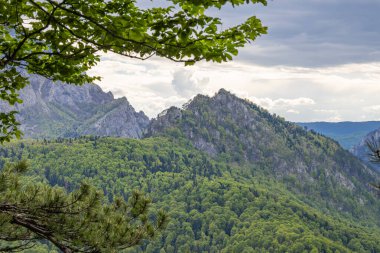 Tjentiste, Foca, Bosna-Hersek. Sutjeska Ulusal Parkı 'ndaki Perucica Ormanı' ndaki engebeli dağlar.