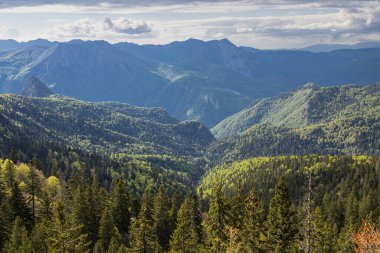 Tjentiste, Foca, Bosna-Hersek. Sutjeska Milli Parkı 'ndaki Perucica Ormanı' ndaki Dağlar.