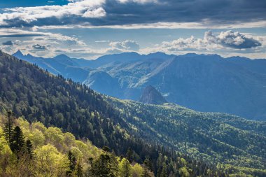 Tjentiste, Foca, Bosna-Hersek. Sutjeska Milli Parkı 'ndaki Perucica Ormanı' ndaki Dağlar.