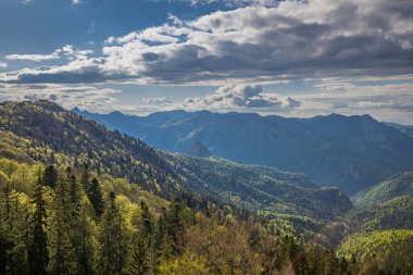 Tjentiste, Foca, Bosna-Hersek. Sutjeska Milli Parkı 'ndaki Perucica Ormanı' ndaki Dağlar.