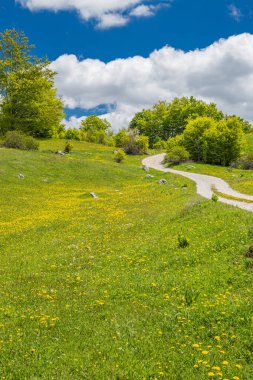 Gacko, Trebinje, Bosna-Hersek. Sutjeska Milli Parkı 'ndaki bir çayırdan geçen toprak yol..