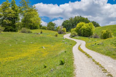 Gacko, Trebinje, Bosna-Hersek. Sutjeska Milli Parkı 'ndaki bir çayırdan geçen toprak yol..