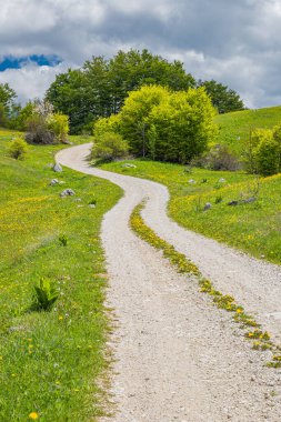 Gacko, Trebinje, Bosna-Hersek. Sutjeska Milli Parkı 'ndaki bir çayırdan geçen toprak yol..