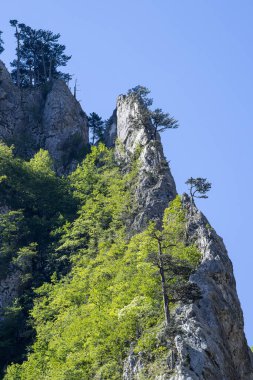 Sutjeska Ulusal Parkı, Tjentiste, Foca, Bosna-Hersek. Sutjeska Ulusal Parkı 'ndaki engebeli dağlar.