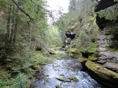 Bir vadiye çek İsviçre Ulusal Parkı içinde