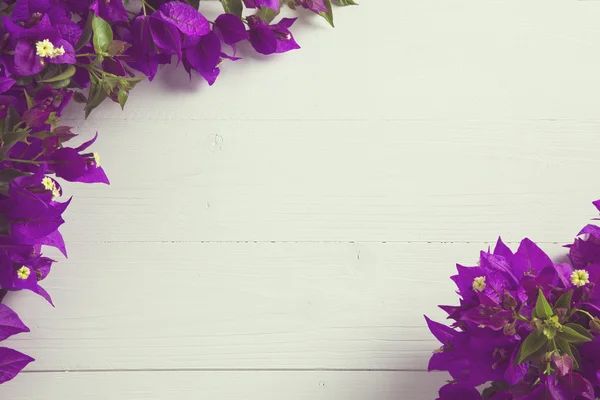 Beyaz ahşap üstüne bouganvillea