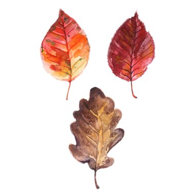 üç sonbahar yaprakları