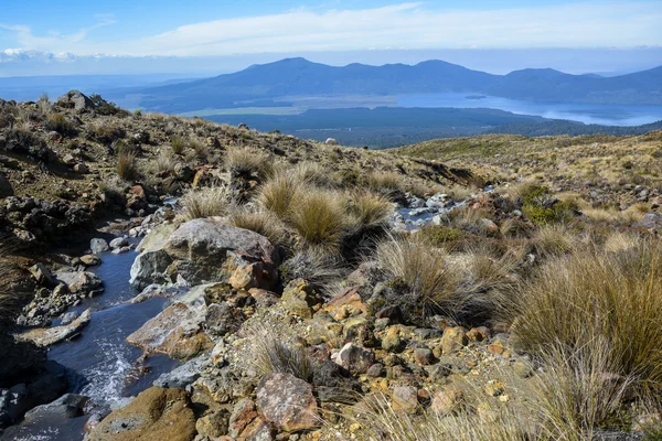 Tongariro alpesi átkelés Új-Zéland - Nézd át a tó Rotoaira, közel Ketetahi kunyhó — Stock Fotó