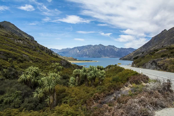 Viagem de carro pela Nova Zelândia: Haast Pass Highway para Wanaka — Fotografia de Stock