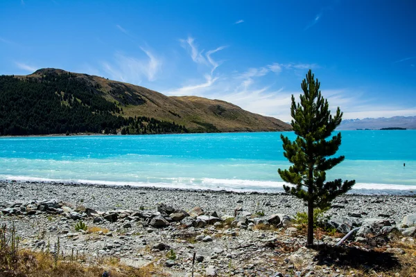 Tekapo-tó, Új-Zéland — Stock Fotó