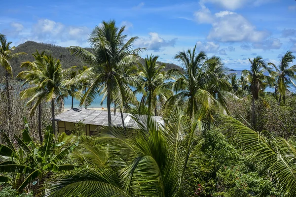 Belle vue sur l'île de Mantaray, Fidji — Photo