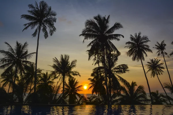 Coucher de soleil avec silhouette de palmiers — Photo