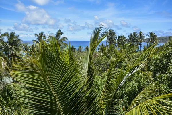 Belle vue sur l'île de Mantaray, Fidji — Photo